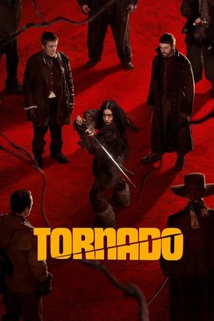 Tornado (2025) WEBRIP Hindi (MULTI AUDIO) 720p – 480p – 1080p